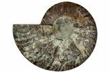 Cut & Polished Ammonite Fossil (Half) - Madagascar #329186-1